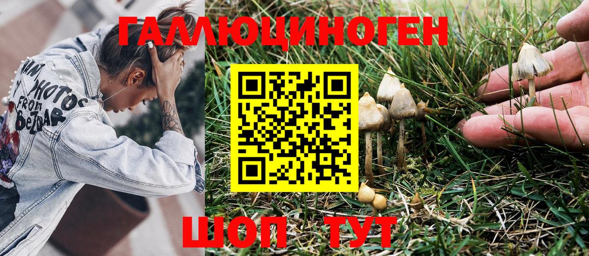 Галлюциногенные грибы Psilocybe  Псилоцибиновые грибы MAGIC MUSHROOMS  купить наркотик  Вход с VPN  Скопин 